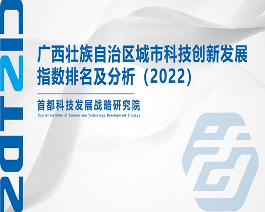 啊啊啊嗯嗯嗯嗯痒流水舔吸顶【成果发布】广西壮族自治区城市科技创新发展指数排名及分析（2022）